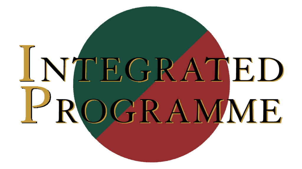 Integrated Programme English tuition