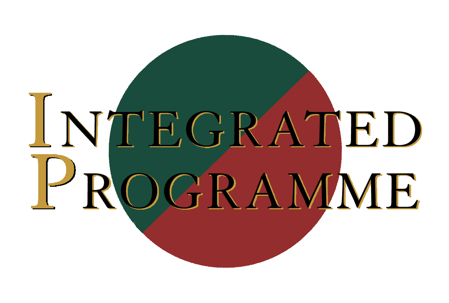 Integrated Programme English tuition